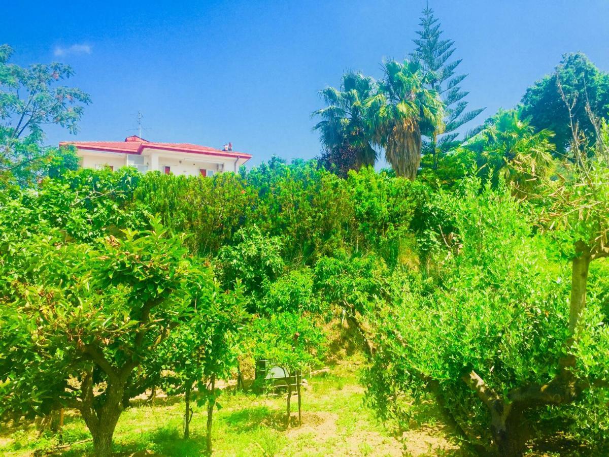 Montebianco B&B Faiano Ngoại thất bức ảnh