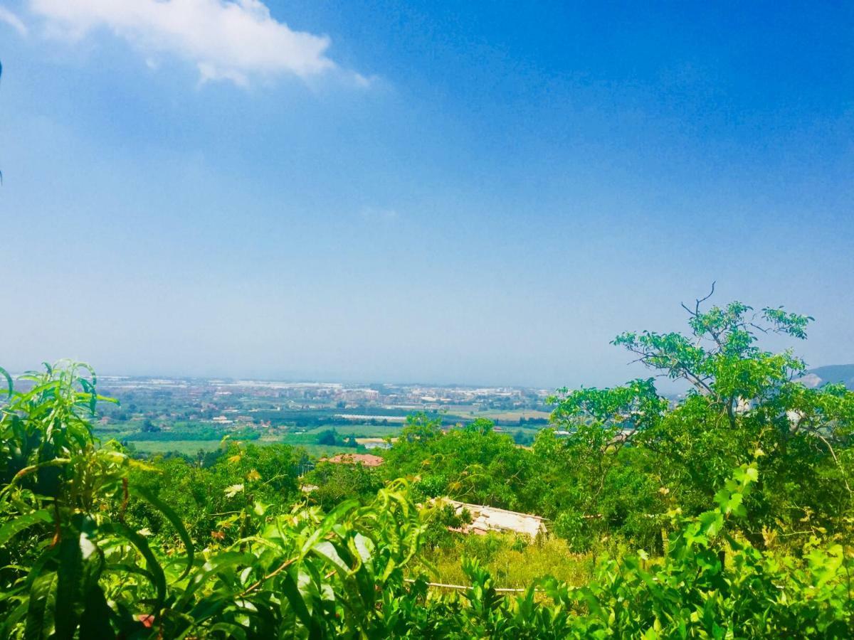 Montebianco B&B Faiano Ngoại thất bức ảnh
